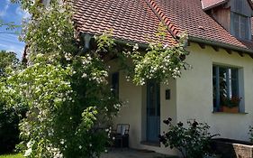 Studio De Charme Avec Terrasse Privee, Jardin Partage